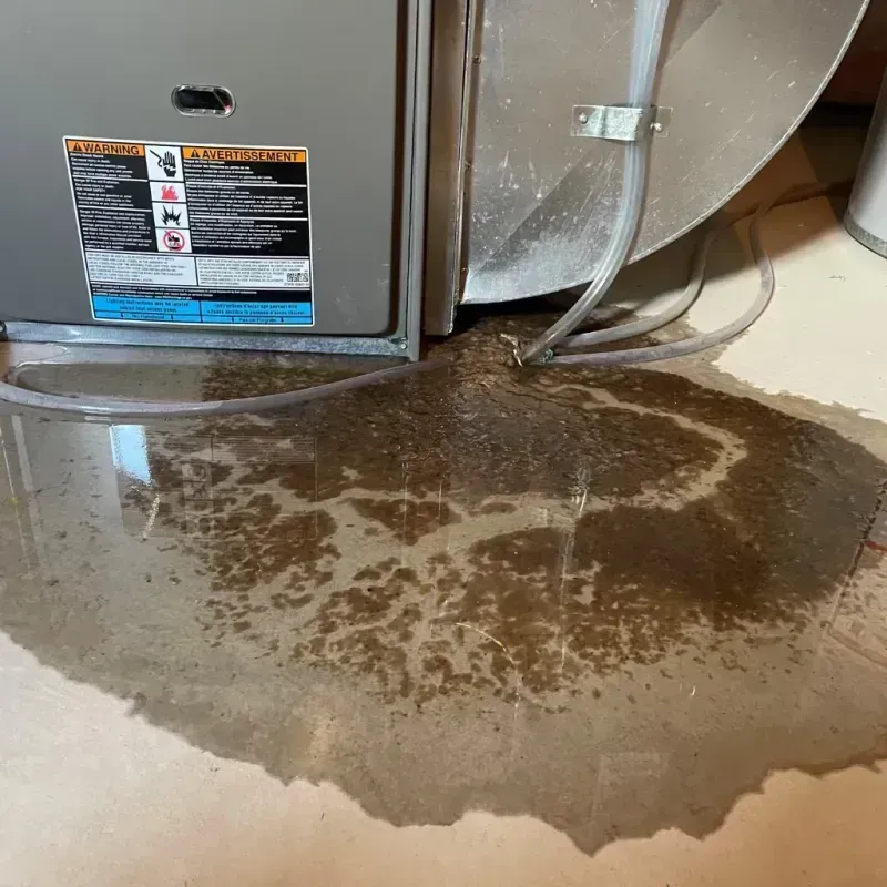 Appliance Leak Cleanup in The Colony, TX